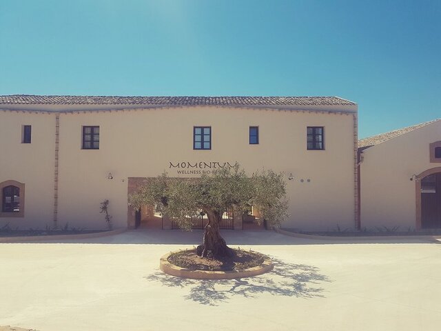 Momentum Wellness Bio-Resort ★★★★★