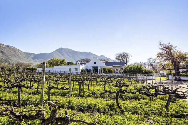 Steenberg Hotel ★★★★★