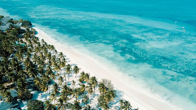 JAZ Elite Aurora ★★★★★