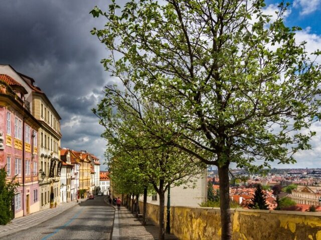 The King Charles ★★★★