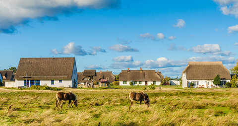 Wanderreise Insel Rügen mit Hiddensee