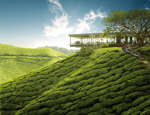 Malaysia | Rundreise & Baden | ab/bis Wien 