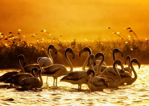 OMAN | Märchenhaftes Sultanat