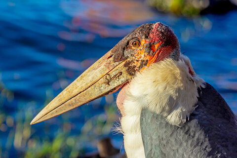 Äthiopien | Kultur trifft Natur | Rundreise | ab/bis Wien