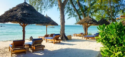 Tansania | Serengeti | © Jan Henning Nass / Chamäleon