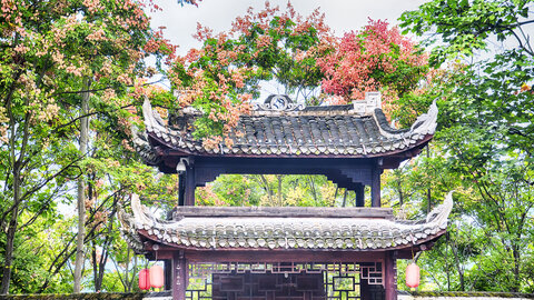 Reise ins Land der Pandas