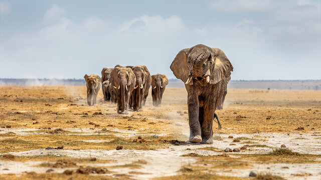 Kenia