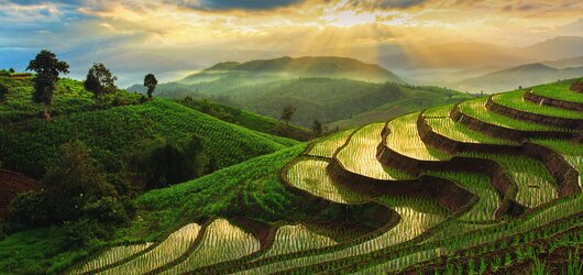 Reiseziel: Chiang Mai