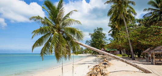 Reiseziel: Koh Phangan