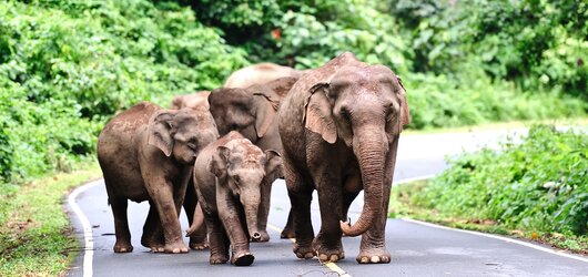 Reiseziel: Koh Chang