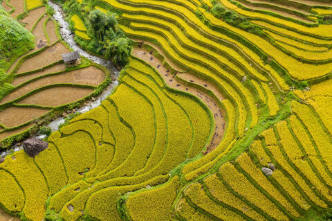 Lotusblüte – Mekong-Flusskreuzfahrt in Vietnam und Kambodscha
