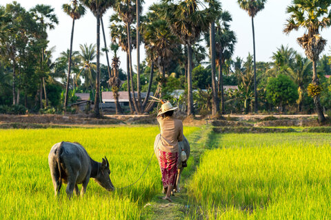 Lotusblüte – Mekong-Flusskreuzfahrt in Vietnam und Kambodscha