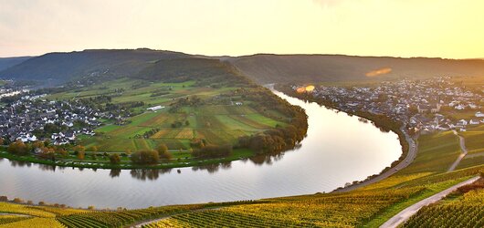 Diese Flüsse mit A-Rosa erleben: Mosel