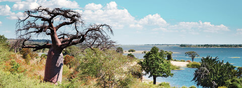 12 Nächte Botswana Wild Parks - Kleingruppe / Sunway Safaris