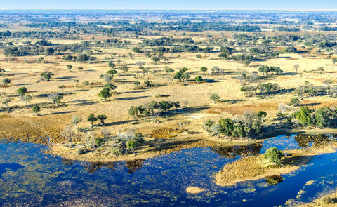 12 Nächte Botswana Wild Parks - Kleingruppe / Sunway Safaris