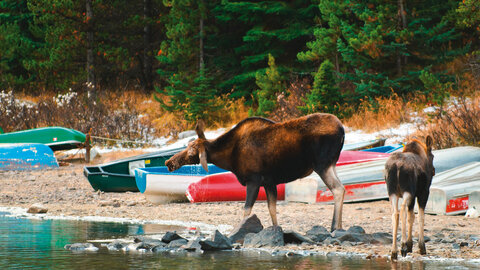 Mietwagenrundreise Aktiv durch Westkanada
