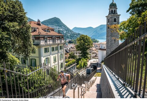 Die schönsten drei Panoramazüge | inkl. Flug ab/bis Wien