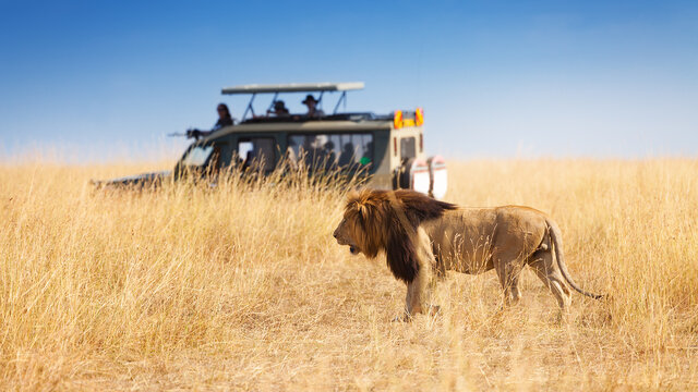 Kenia Classic Safari - Kleingruppe & Badeverlängerung Seychellen