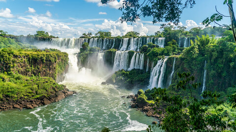 Brasilianisches Quartett