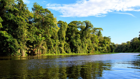 Costa Rica & Panama - Entlang der Karibik