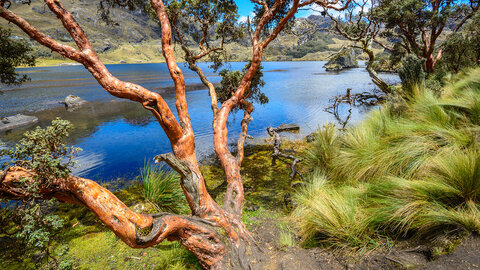 Ecuador Highlights 2026