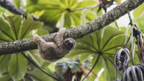 Faszination Zentralamerika