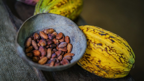 Faszination Zentralamerika