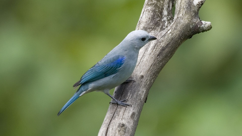 Mietwagenrundreise Costa Rica & Nicaragua