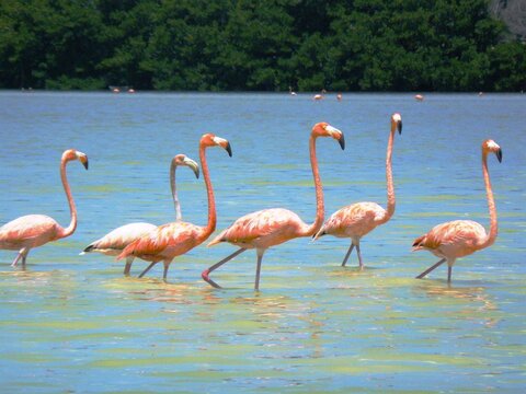 Höhepunkte Yucatans mit Calakmul