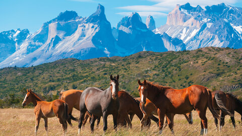 Mietwagenrundreise Grand Patagonia 
