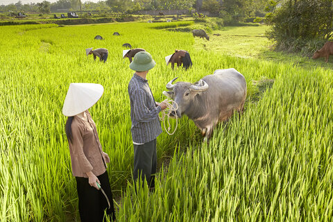 Vietnam Impressionen